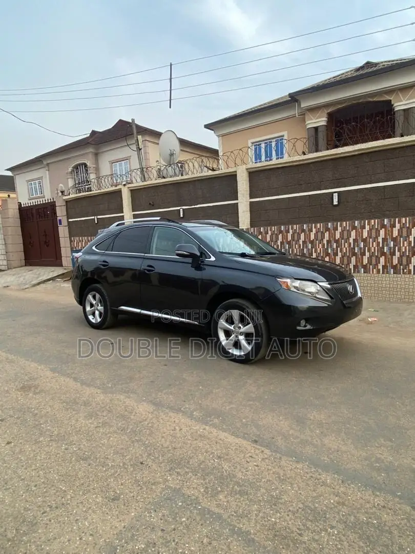 Lexus RX 2010 Gray