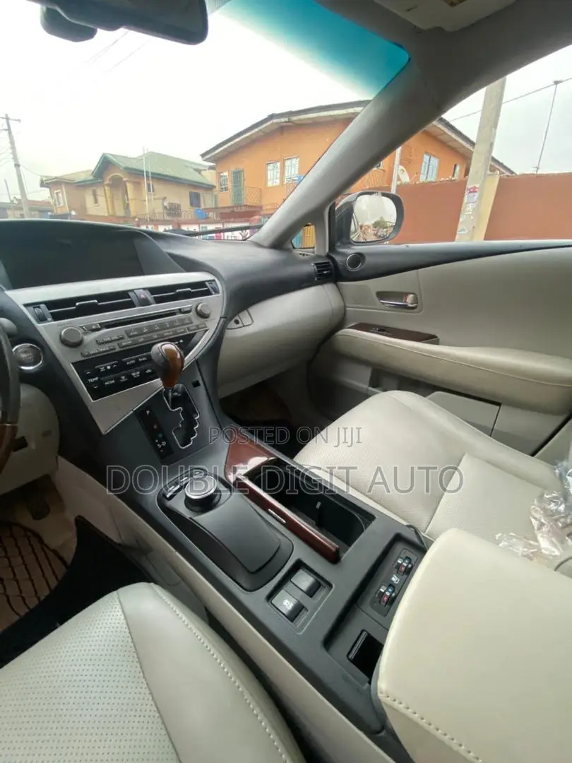 Lexus RX 2010 Gray