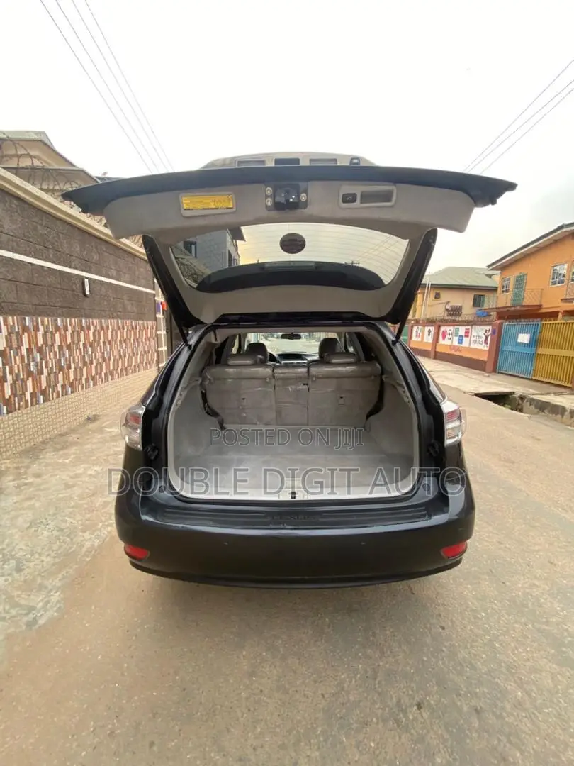 Lexus RX 2010 Gray