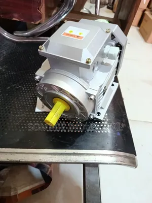Electric Motor