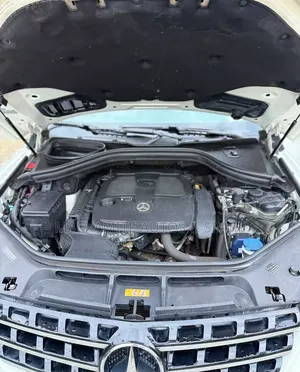 Mercedes-Benz M Class 2014 White