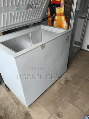 German Liebherr Deep Freezer for Frozen Foods 
