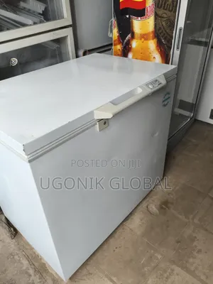 German Liebherr Deep Freezer for Frozen Foods 