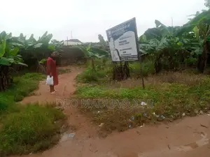 Virgin Land
