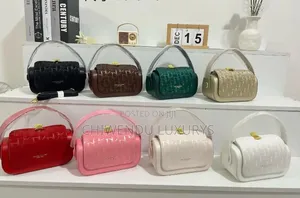 New in Designer Bag
