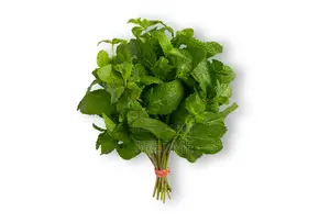 Mint Leaves