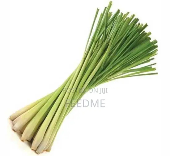 Lemon Grass