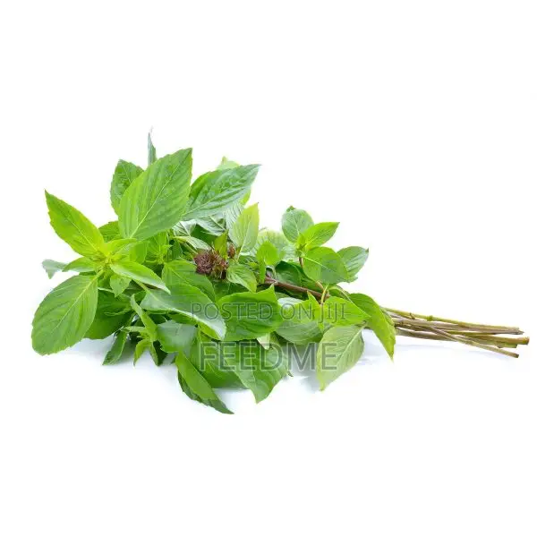 Fresh Basil