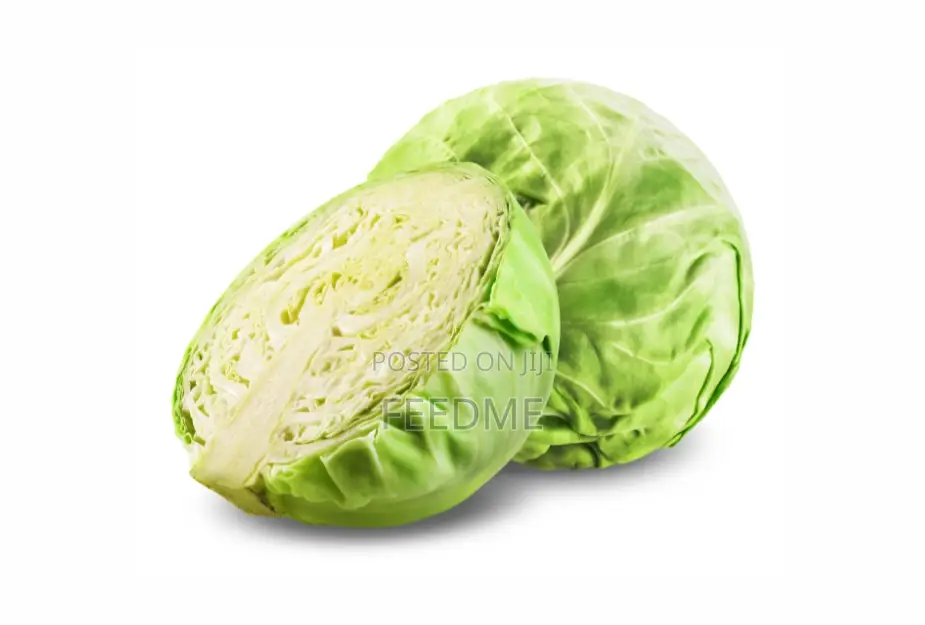 Fresh Cabbage