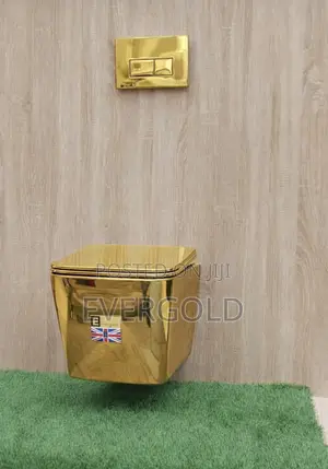 Conceal Water Closet Pure Gold With Complete Accessories