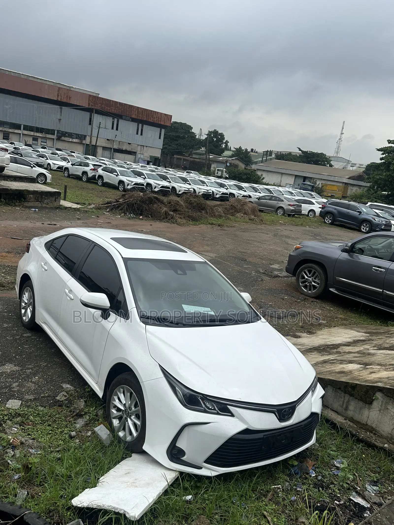 Toyota Corolla 2021 White