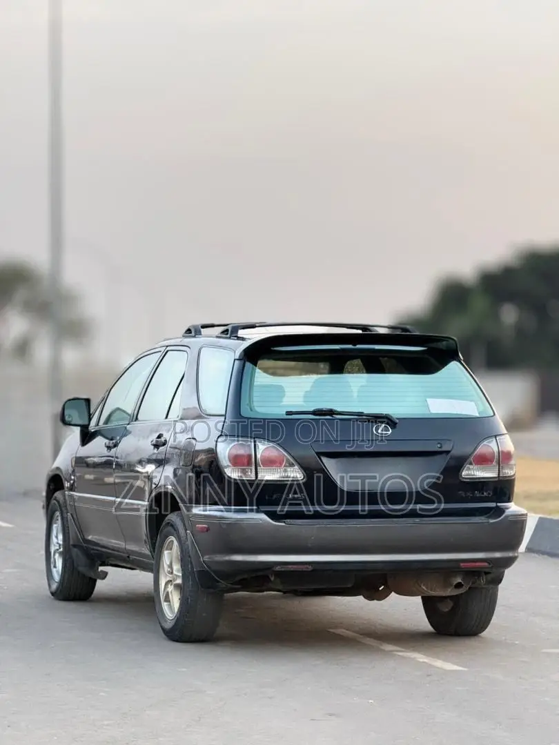 Lexus RX 2002 Gray