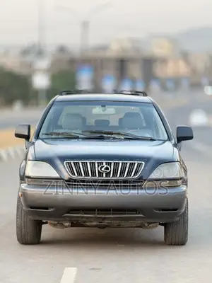 Lexus RX 2002 Gray