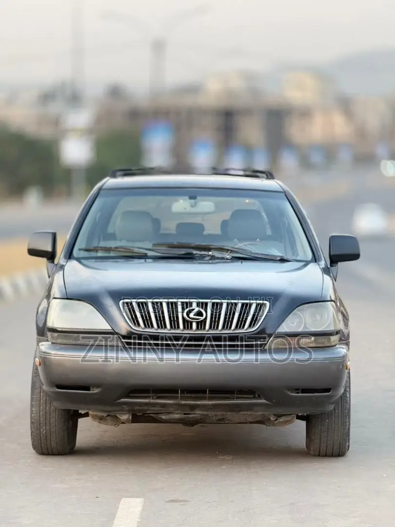 Lexus RX 2002 Gray