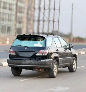 Lexus RX 2002 Gray