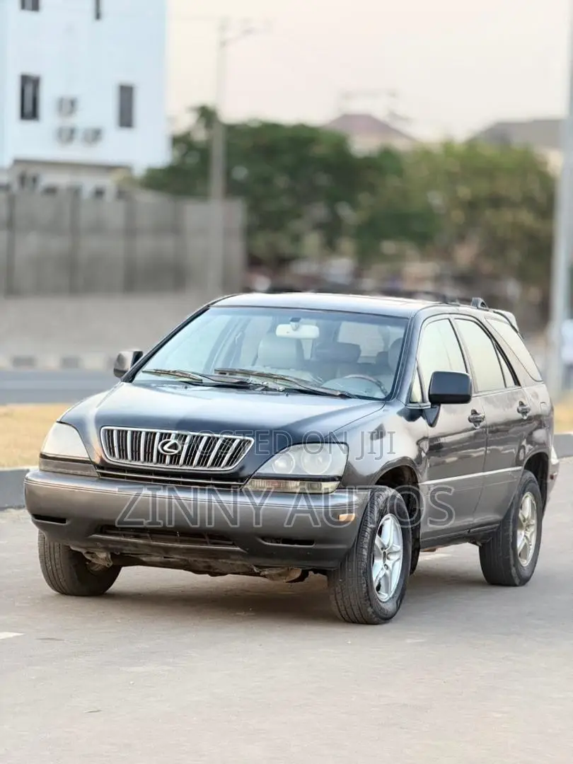 Lexus RX 2002 Gray