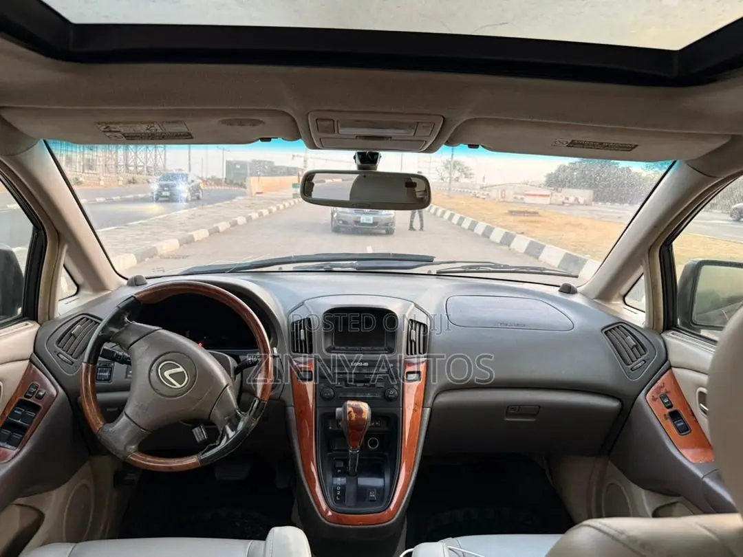 Lexus RX 2002 Gray