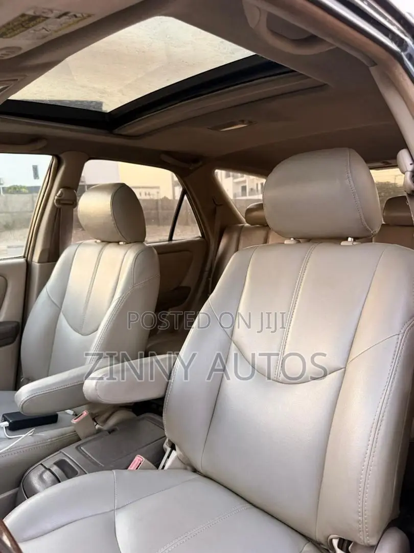 Lexus RX 2002 Gray