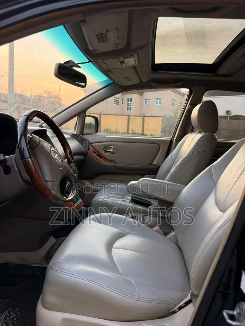 Lexus RX 2002 Gray