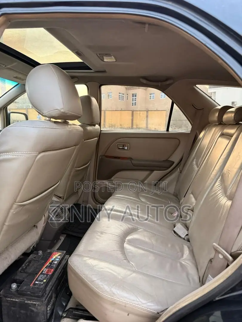 Lexus RX 2002 Gray