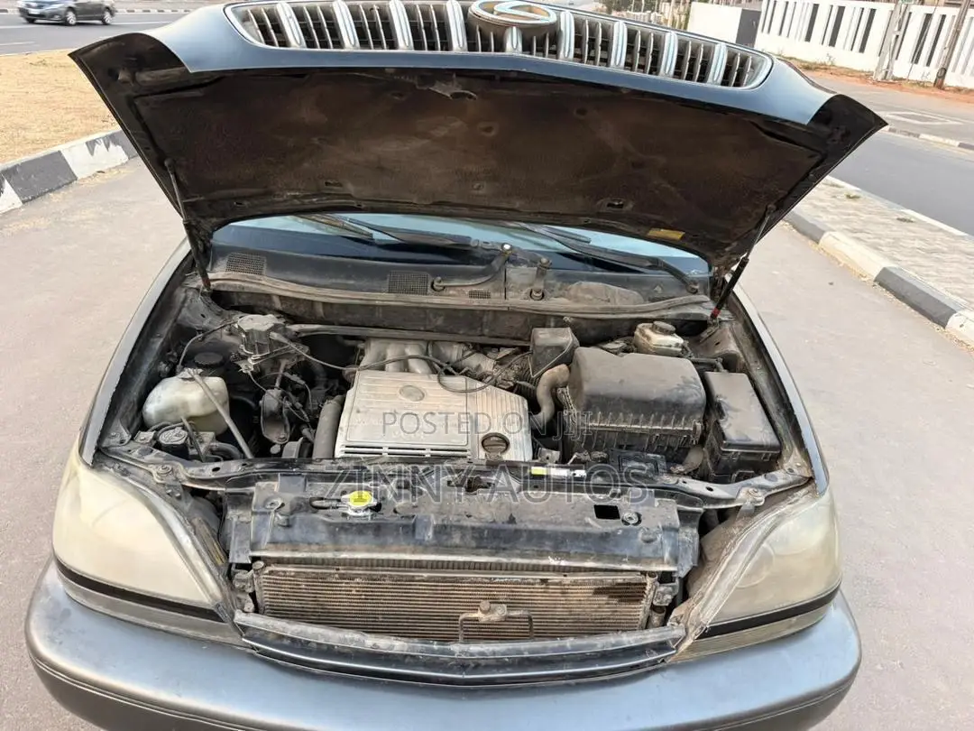 Lexus RX 2002 Gray