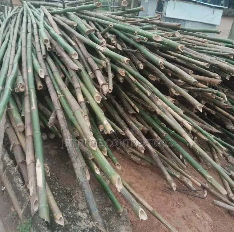 Bamboo Stick