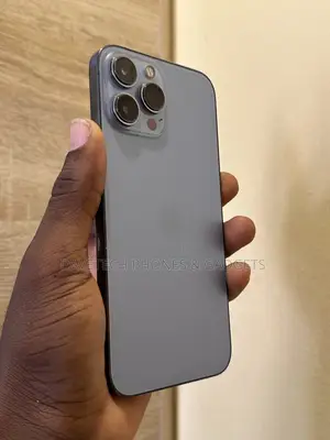 Apple iPhone 13 Pro Max 128 GB Gray