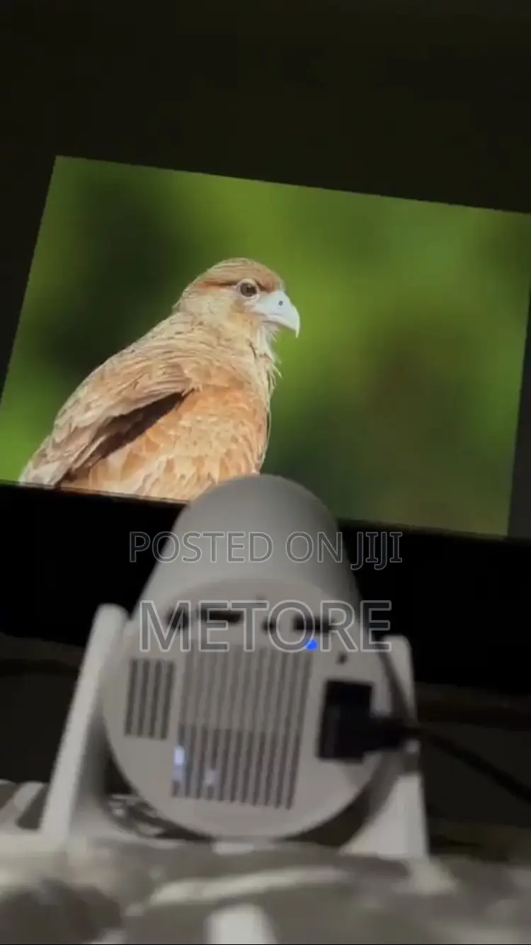 Mini Projector(Ultra-Hd)