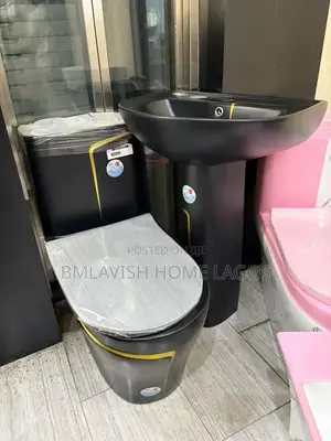 Luxury Black and Gold Water Closet Set