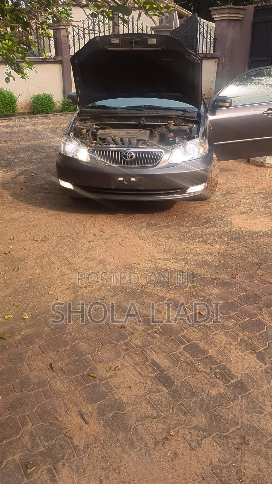 Toyota Corolla 2003 Gray