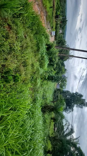 Strategic Roadside Land for Sale at Nimo/Neni Expressway