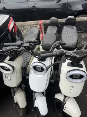 Honda 2026 White