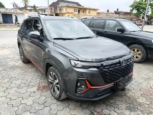 Mikano ZNA Rich 6 2024 Gray