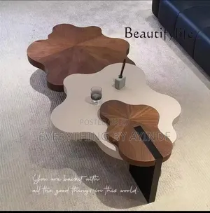 Minimalist Cream Wind Cloud Coffee Table Living Room Irregular
