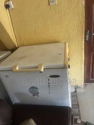 Haier Thermocool Big Deep Freezer