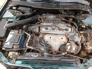 Honda Accord 2001 Green