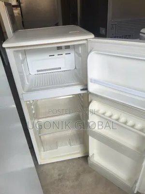 Perfectly Working Fridge and Freezer