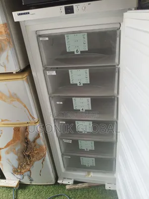 German 6 Step Standing Freezer for Blocks