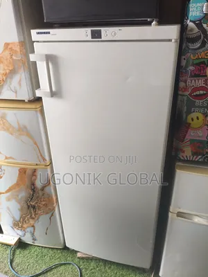 German 6 Step Standing Freezer for Blocks