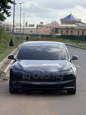 Tesla Model 3 Performance AWD 2024 Gray
