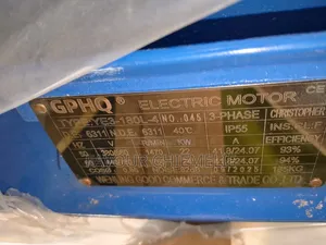 Electric Motor