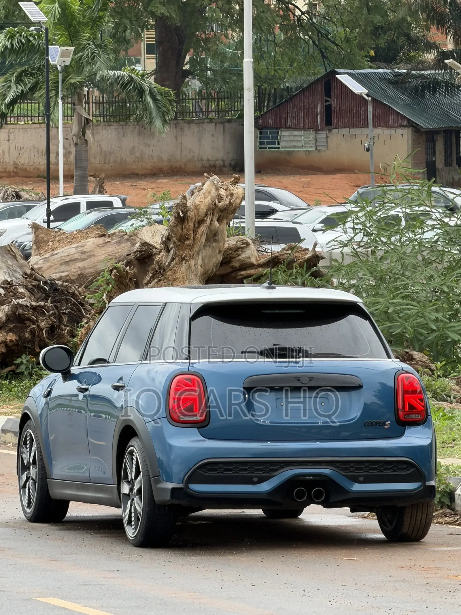 Mini Cooper 2025 Green