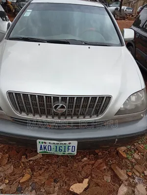 Lexus RX 300 2001 Gray