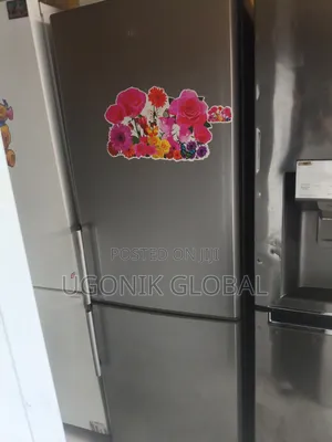 Low Energy Consumption Double Door Fridge and Freezer
