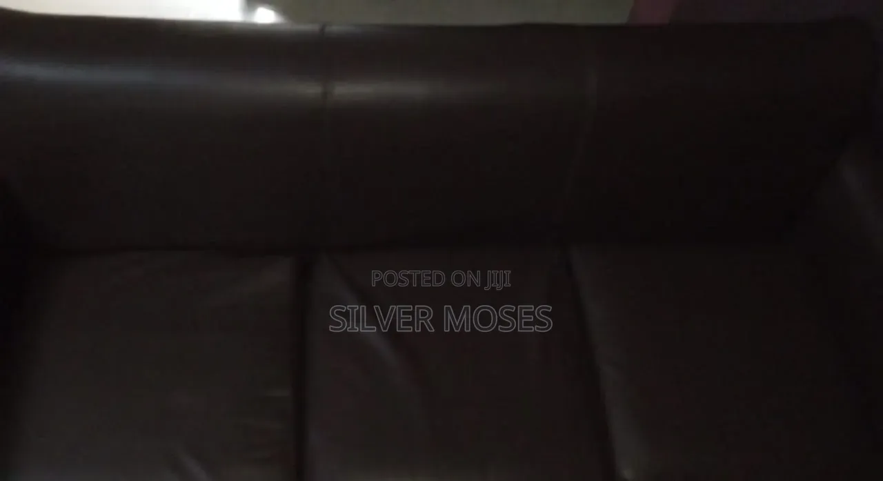 Couch/Sofa