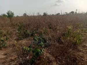 Land Property