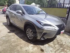 Lexus NX 2019 Silver
