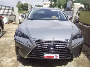 Lexus NX 2019 Silver