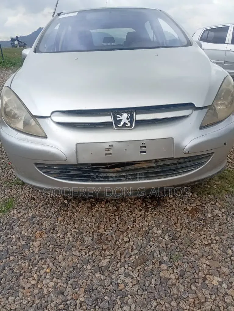 Peugeot 307 2006 Silver