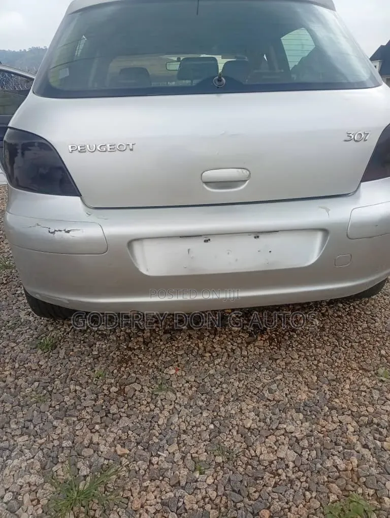 Peugeot 307 2006 Silver
